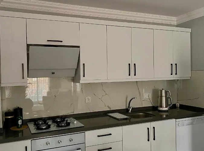 Turgutsluxury 4 * フェティエ